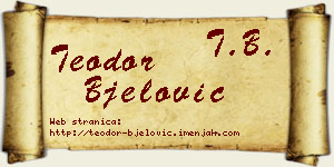 Teodor Bjelović vizit kartica